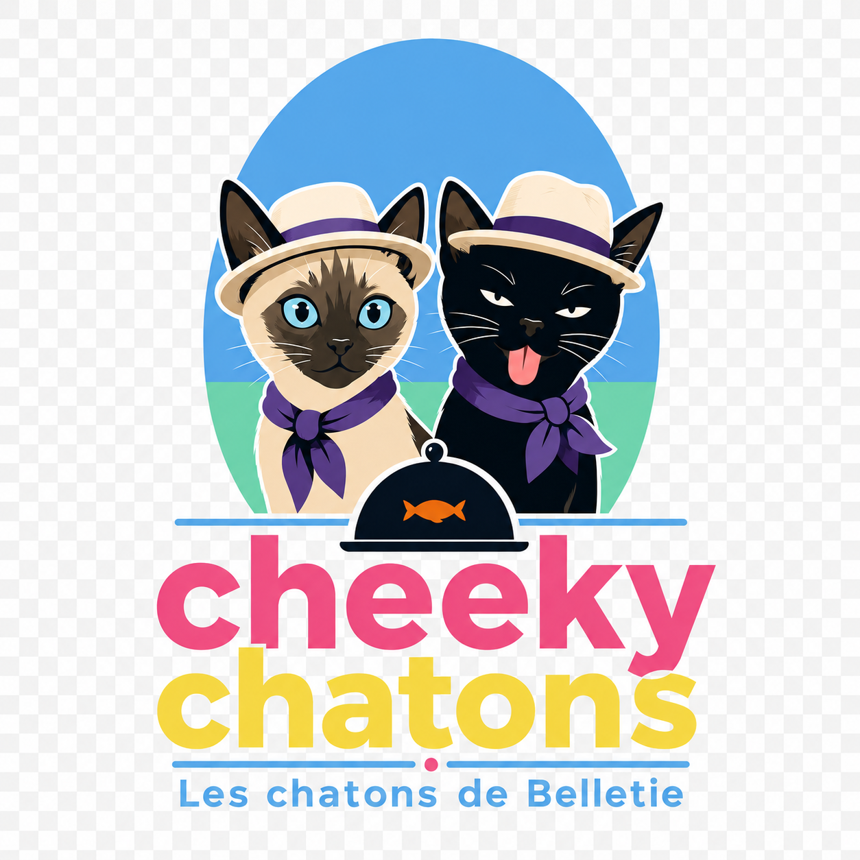 Cheeky Chatons — les chatons de Belletie